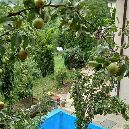 Hills Apartament