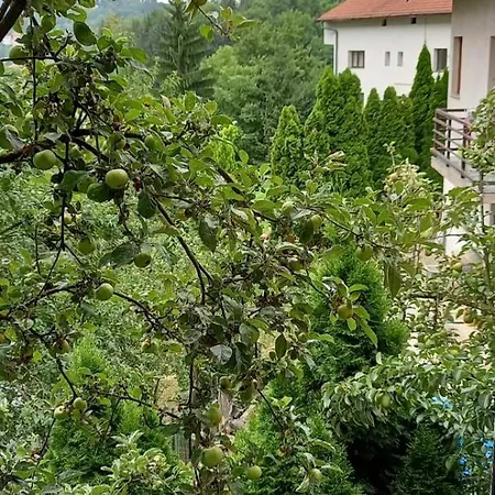 Hills Sarajewo